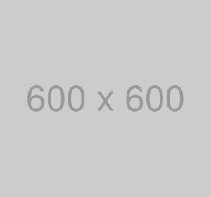 NYX Beauty Couton Pallete Makeup 12